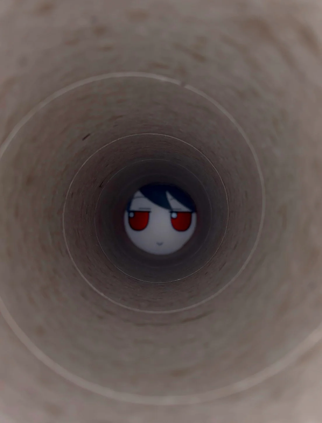 Sighting