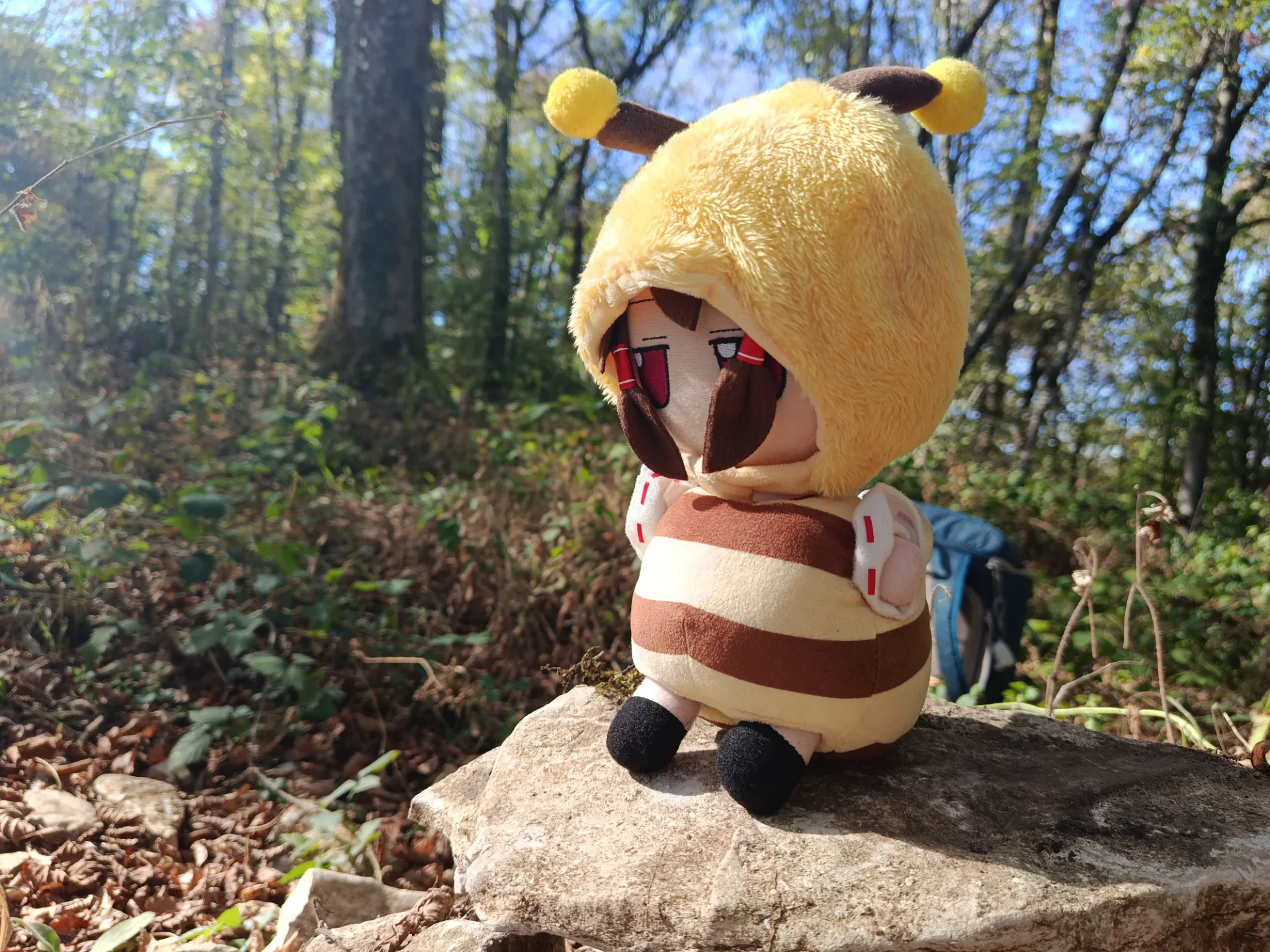 Sighting