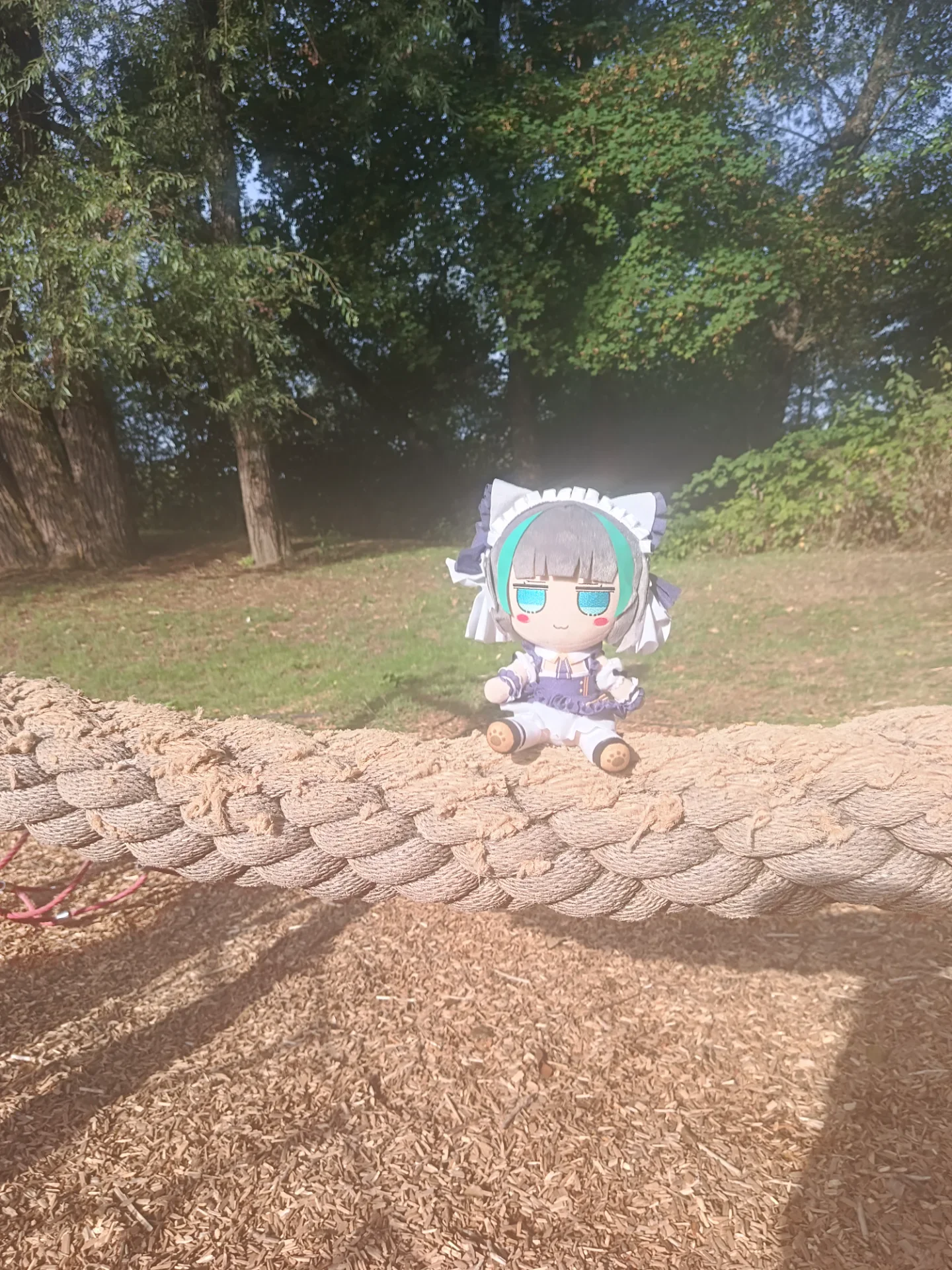 Sighting