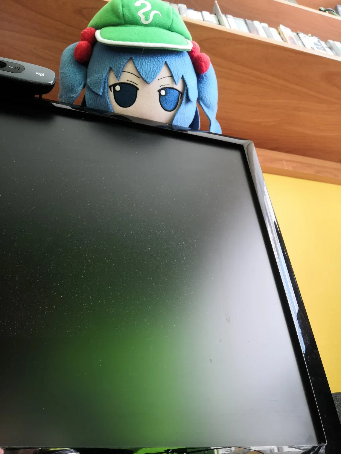 Sighting
