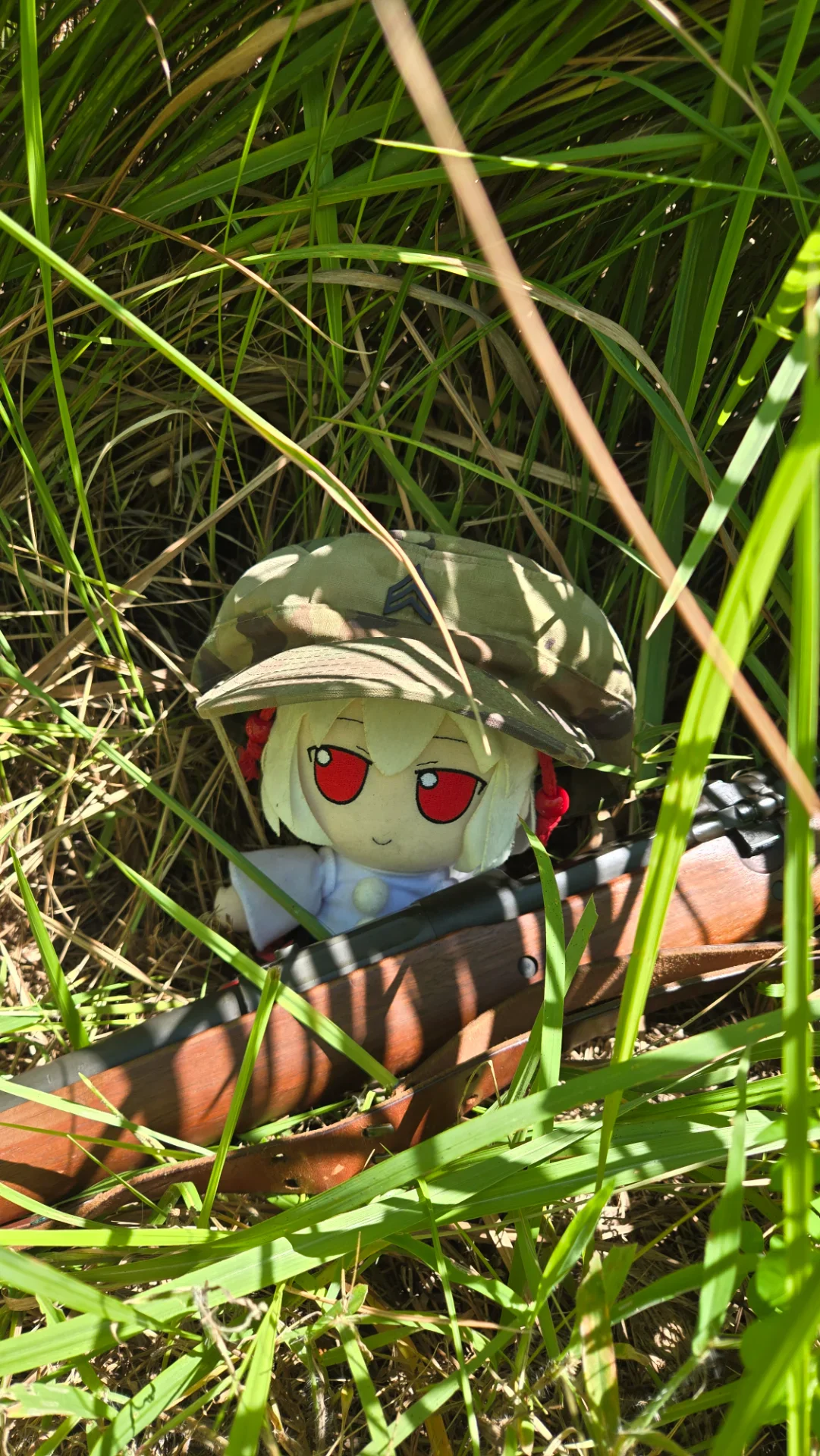 Sighting