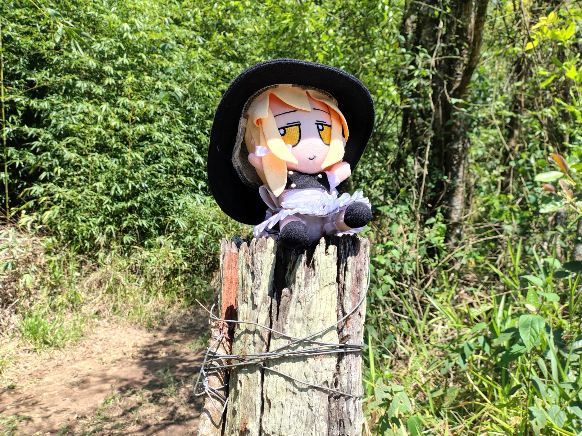 Sighting