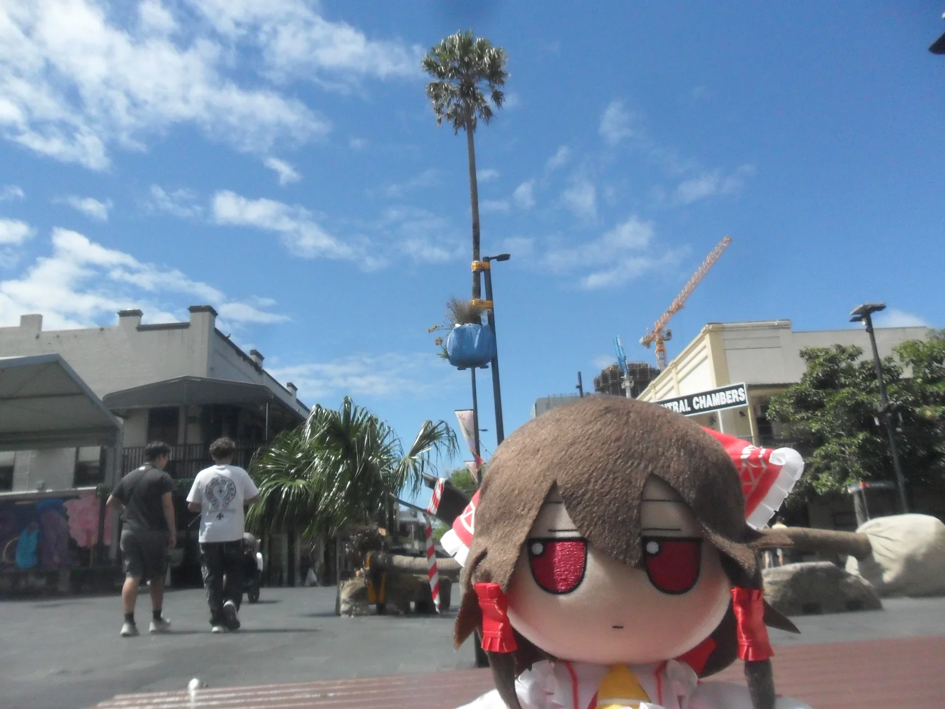 Sighting
