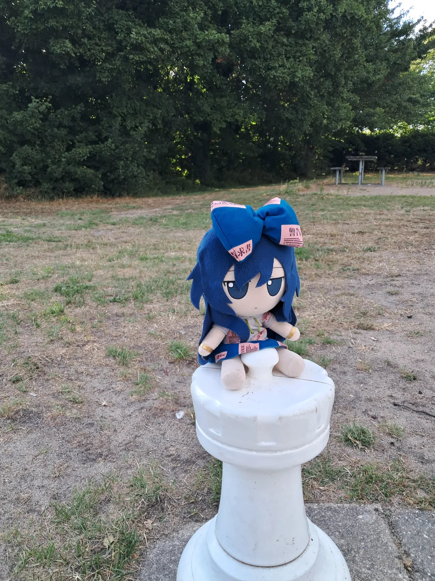 Sighting