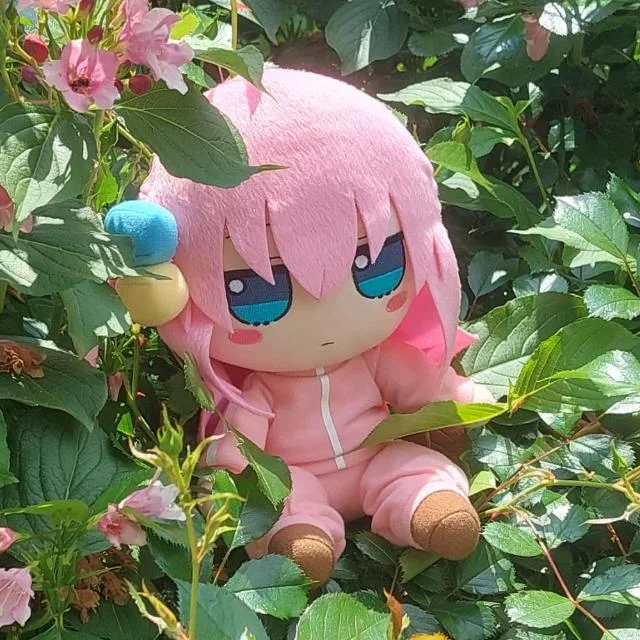 Sighting