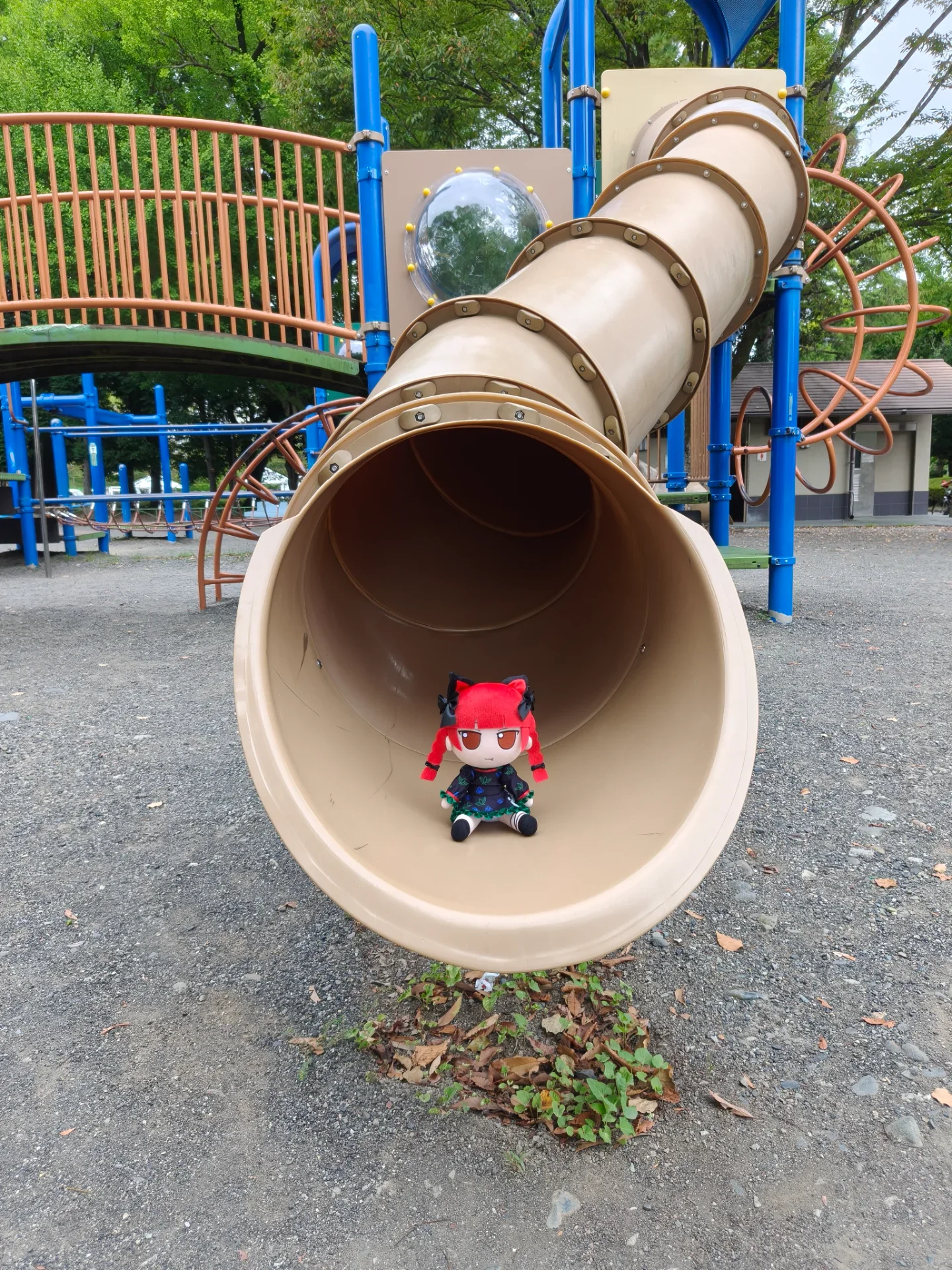 Sighting
