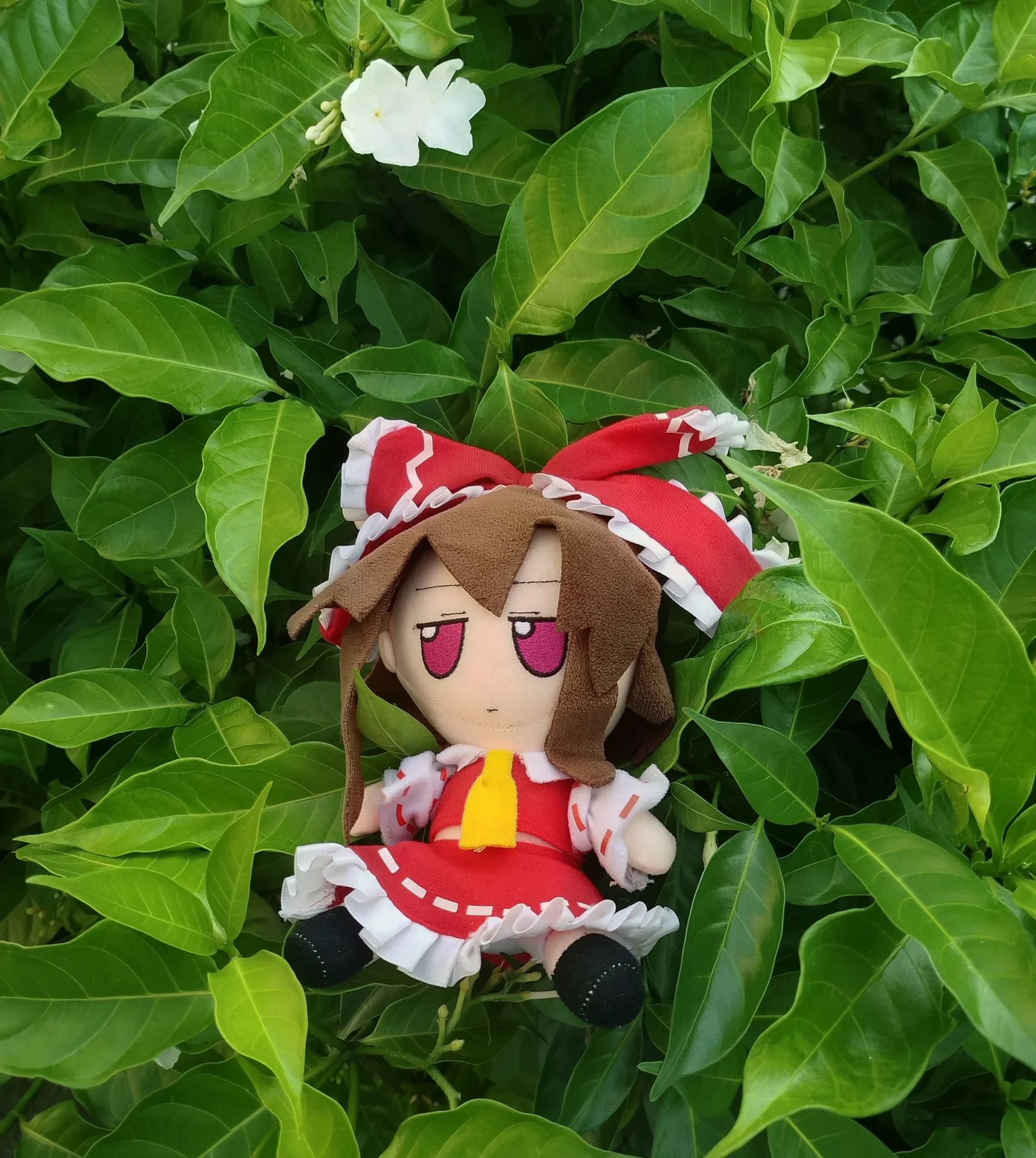 Sighting