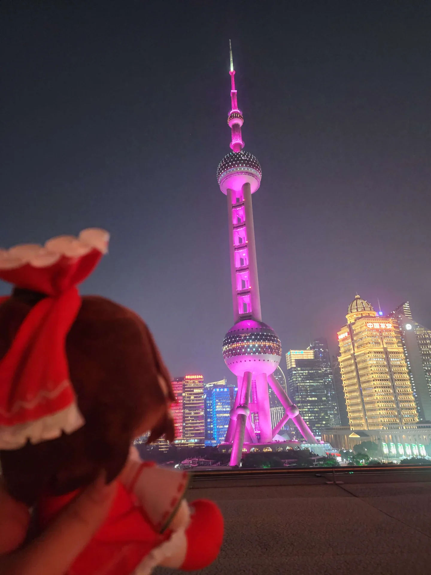 目撃情報