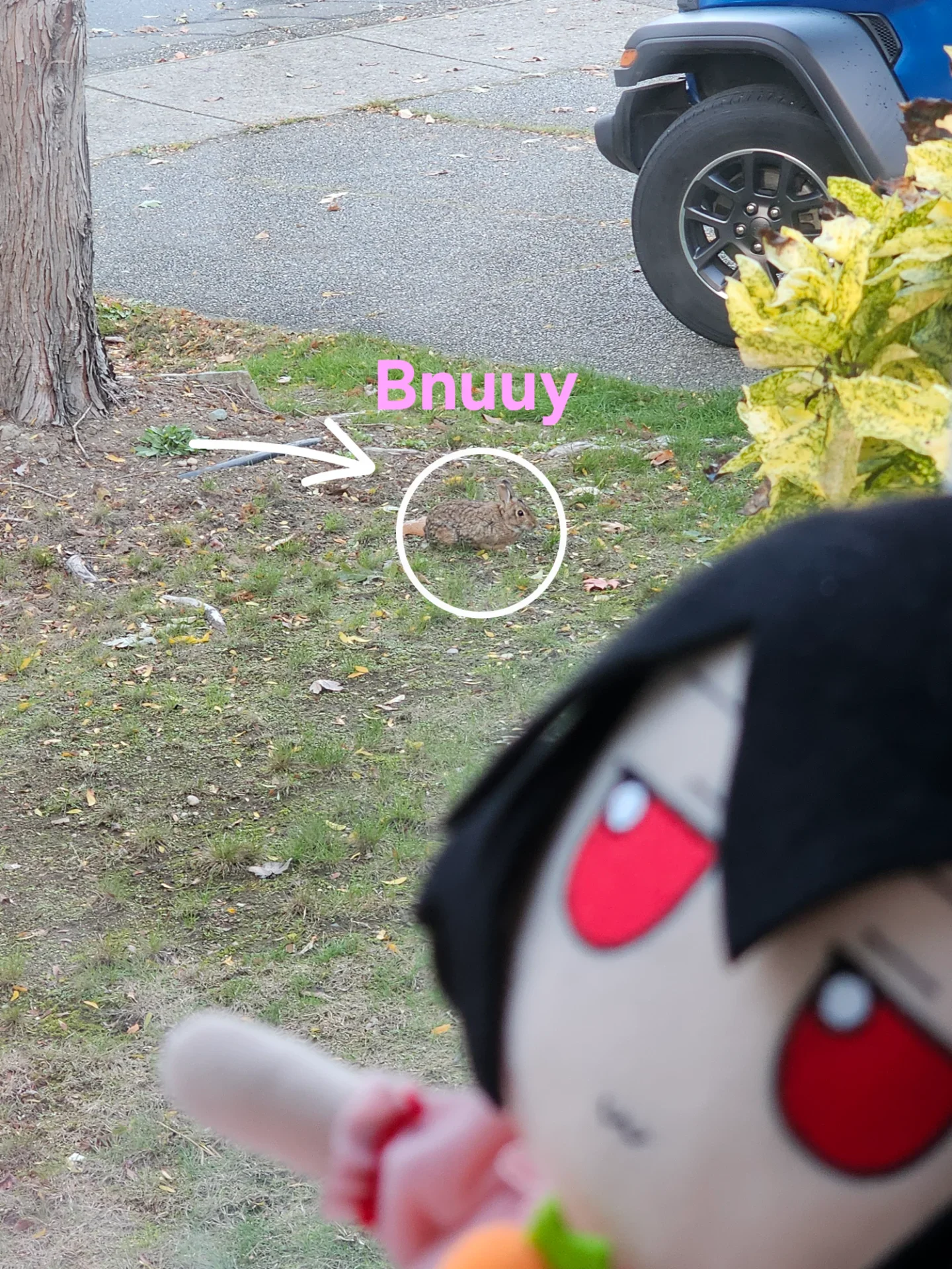 Sighting