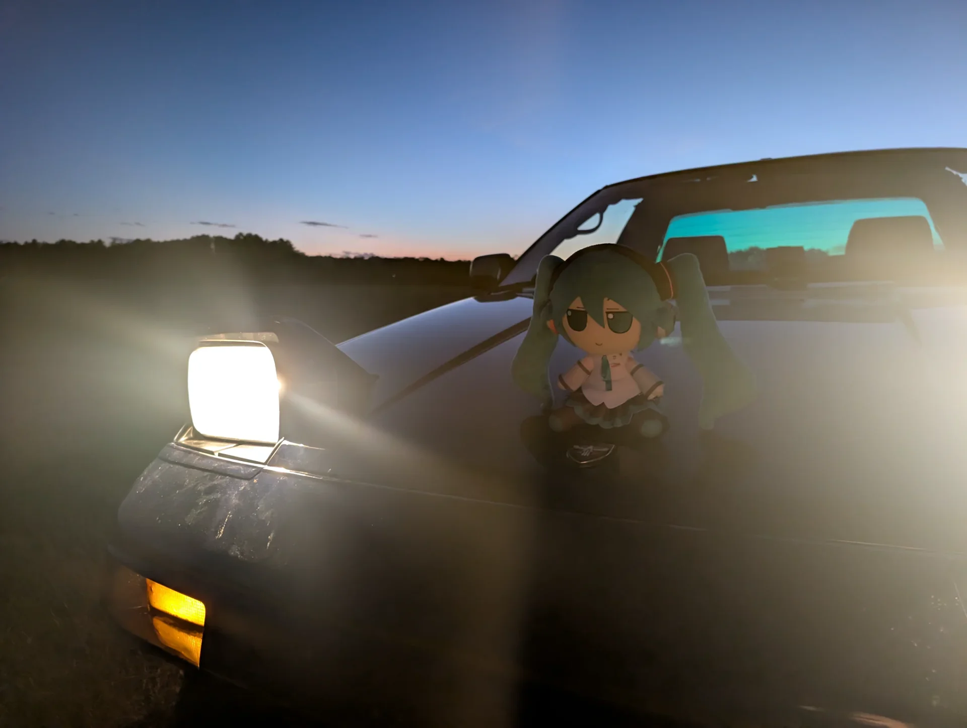 Sighting