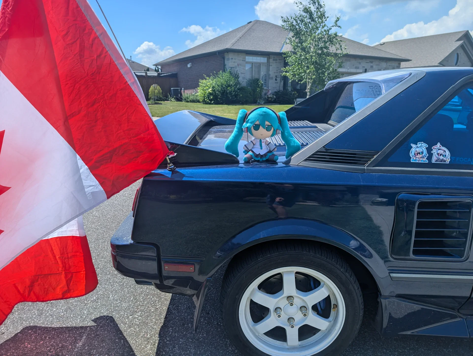 Sighting