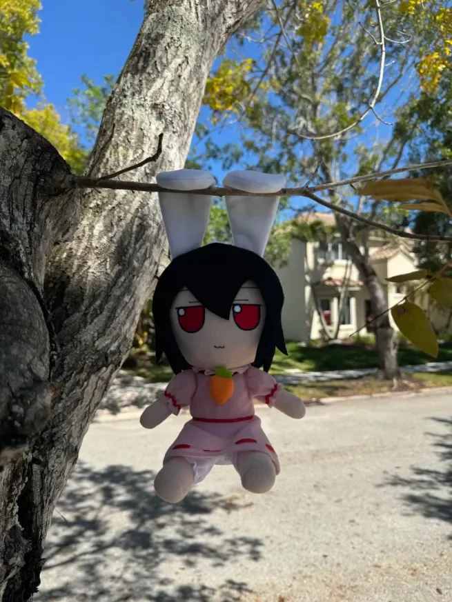 Sighting